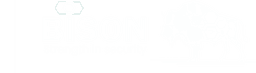 BisonTech Logo
